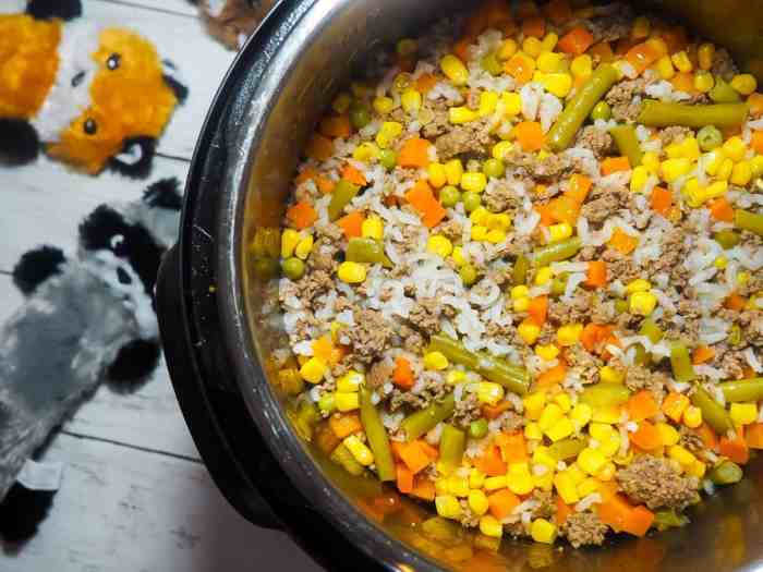 Fettarme ernährung hund rezepte